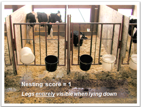 screen-shot-2016-11-17-at-2-12-57-pm