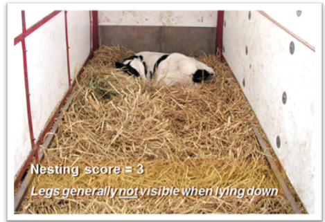 screen-shot-2016-11-17-at-2-13-06-pm