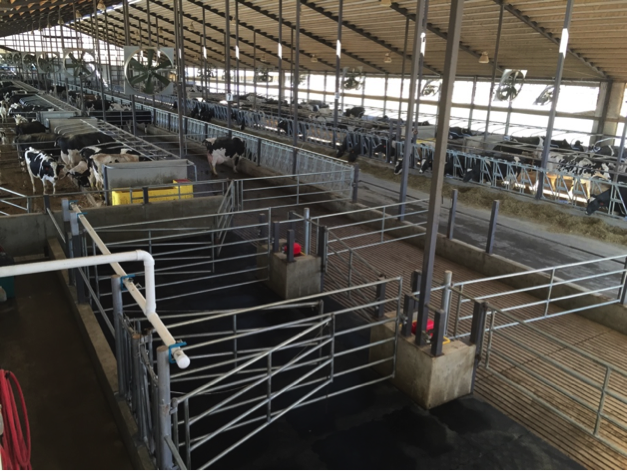 transitioncowhousing12