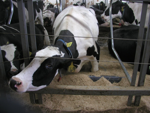 bob_zone_obstruction