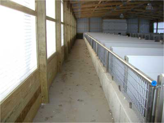 calf-barn-2