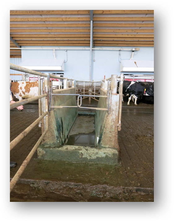 footbath_center_exit_lane