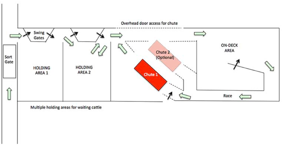hoof-trimming-area-layout