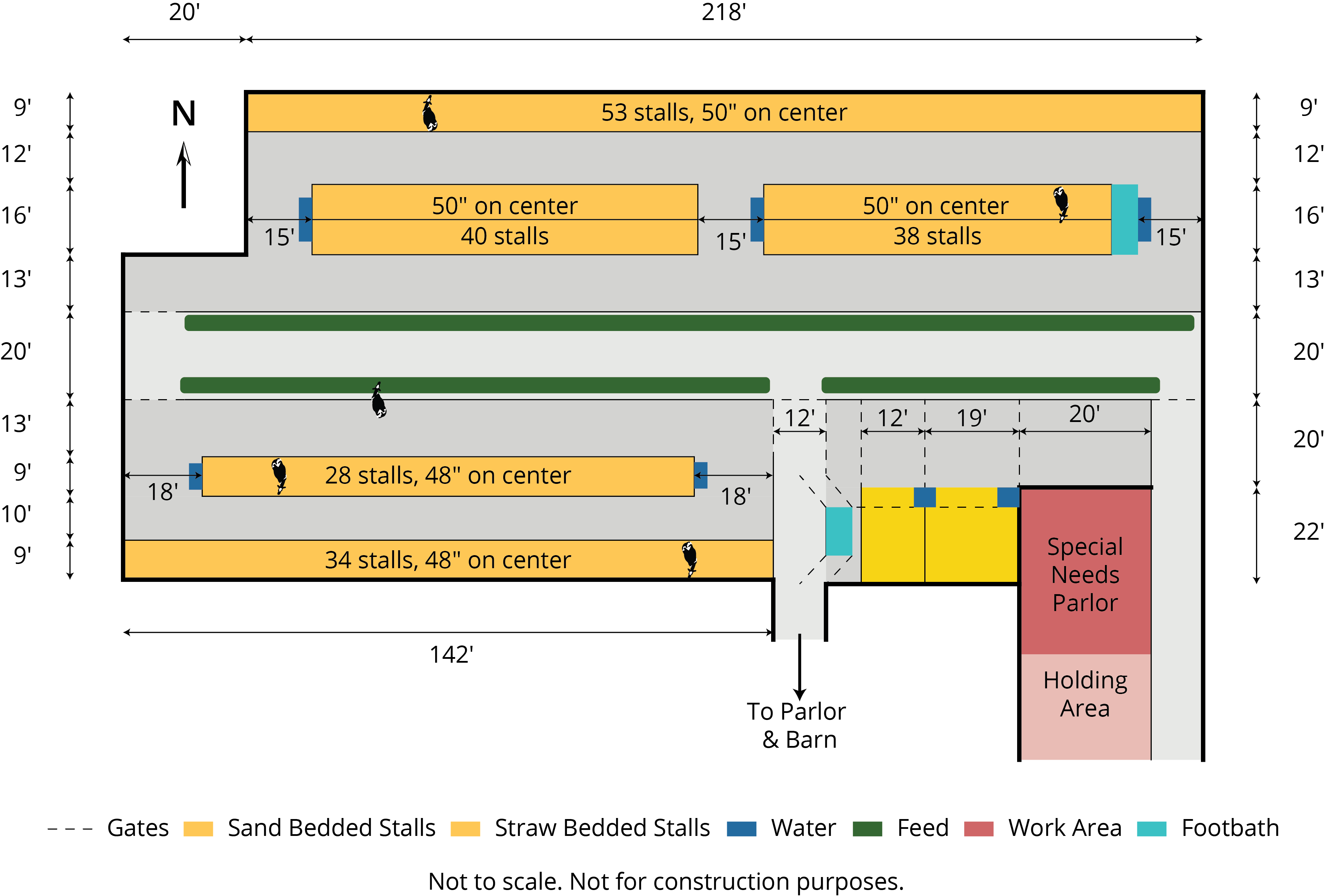 tc_herd_b-ripps-dairy-valley